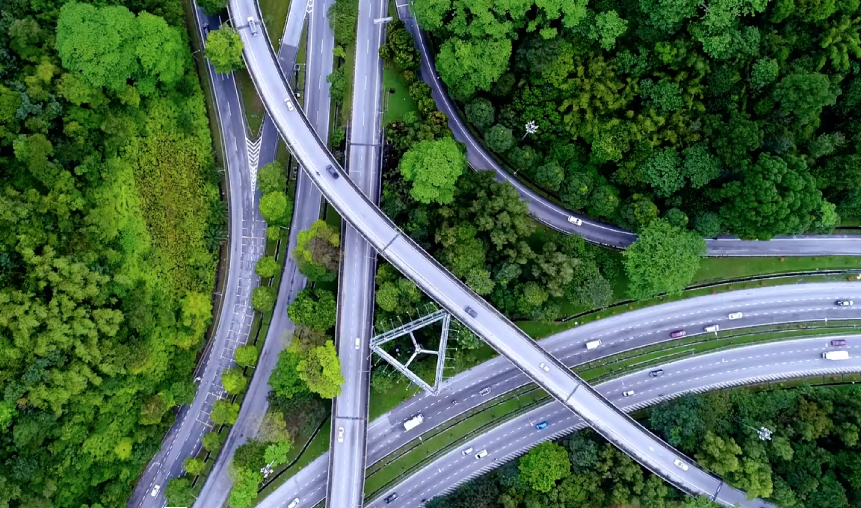A network of roads and interchanges through the trees