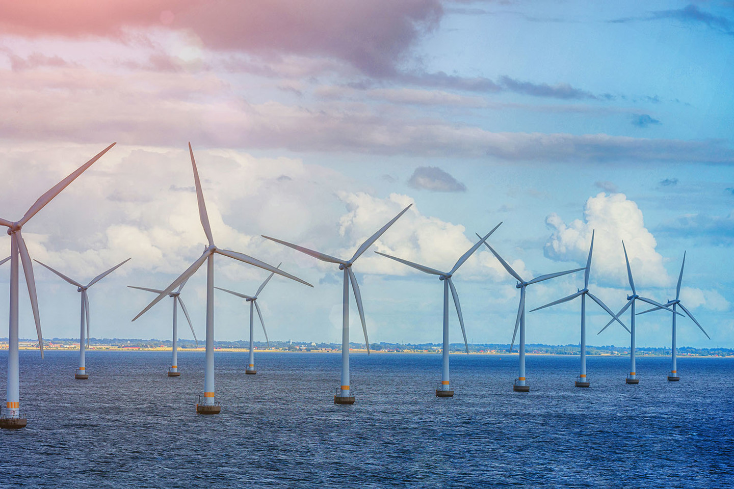 Floating offshore wind farm