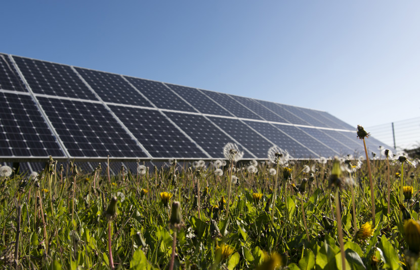 Renewable Solar Farm panels on display in a field 