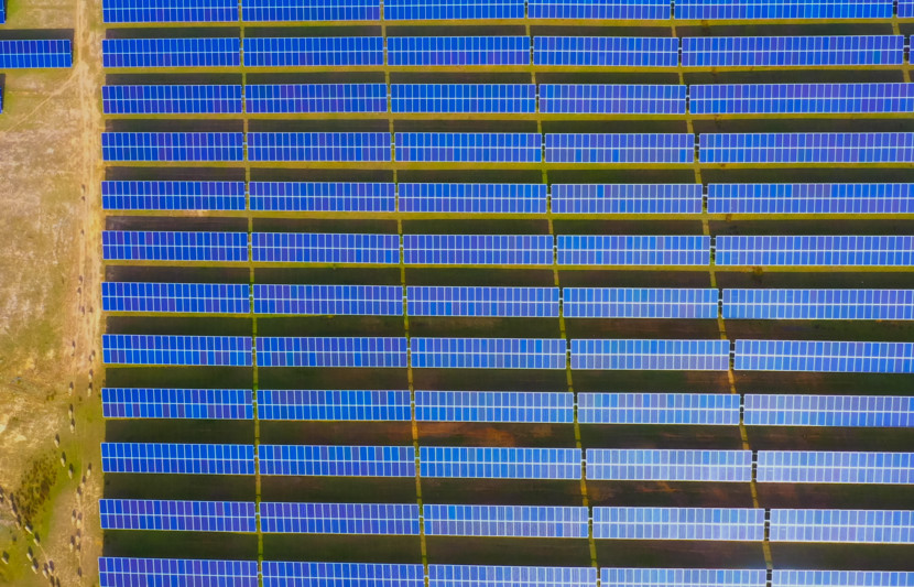 Aerial view above a large solar farm for renewable energy supply in Australia with a herd of sheep walking beside the panels