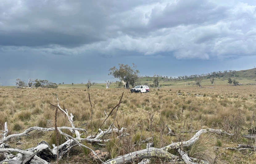 RPS vehicle with burgundy logo drives through bushland - the vegetation looks harsh and has a spinifex resemblance. In the foreground lay remnants of fallen down trees. 