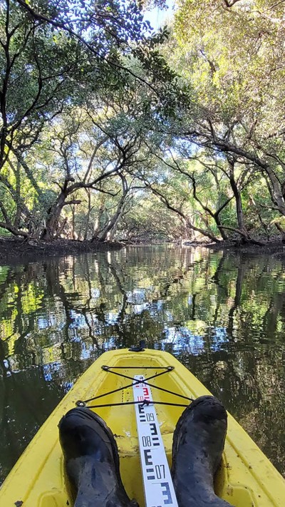 Ecologist in a yellow kayak with black boots and a measuring stick making their way down a river, while another ecologist in orange high-vis walks through scrub on the river bank. 