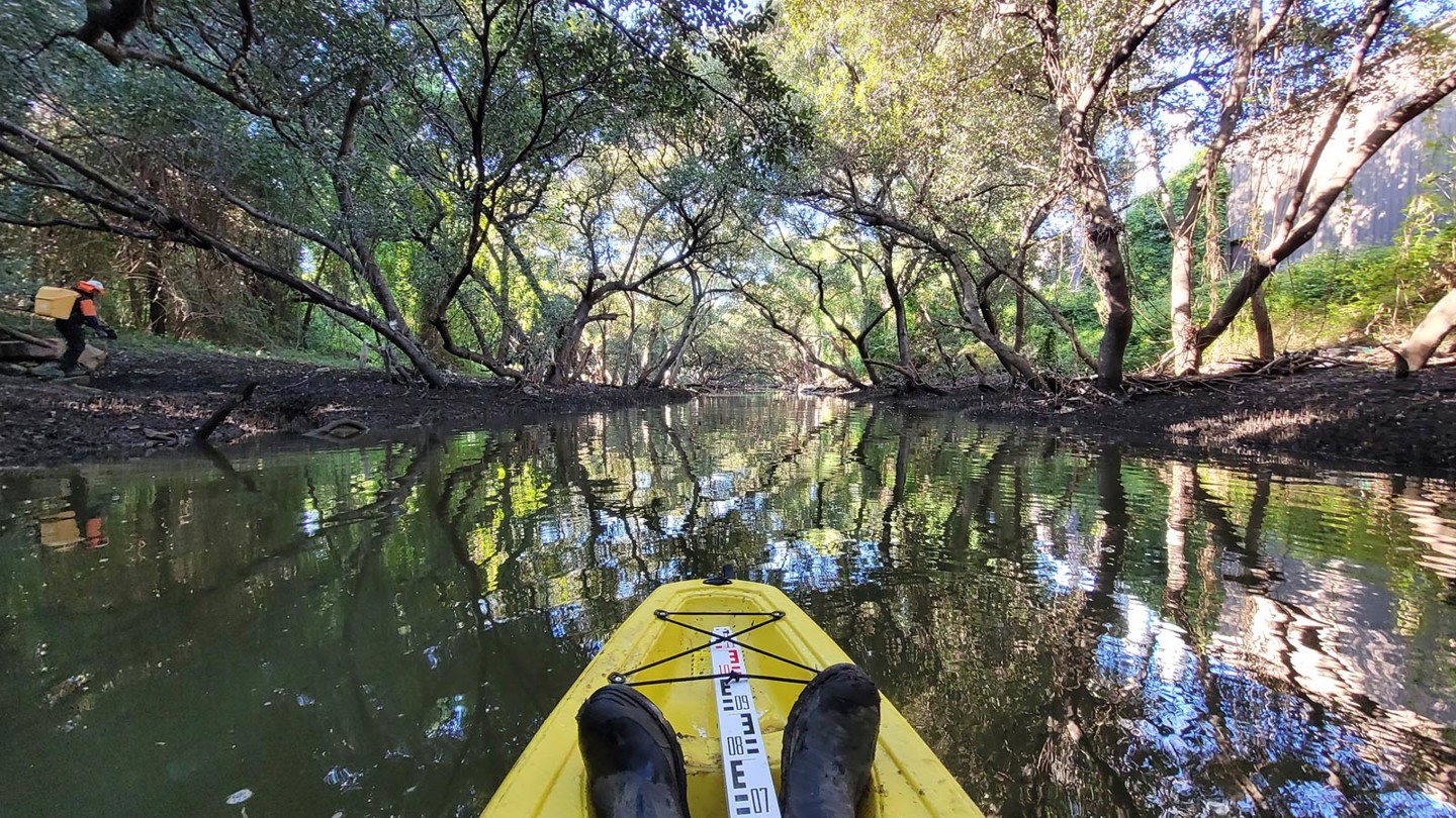 Ecologist in a yellow kayak with black boots and a measuring stick making their way down a river, while another ecologist in orange high-vis walks through scrub on the river bank. 