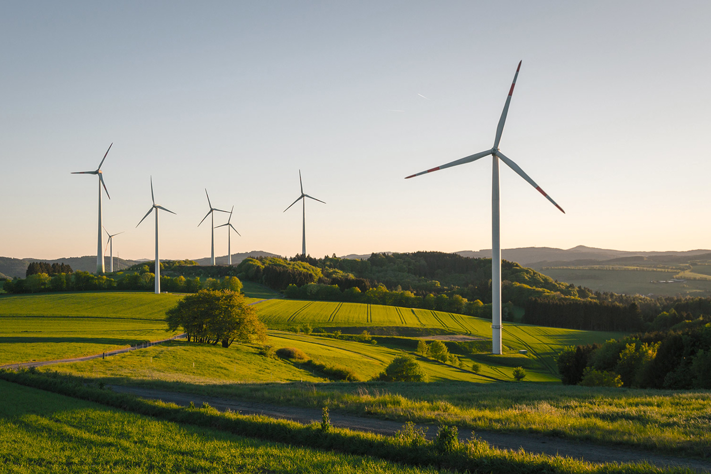 Wind Farm Turbines Australian Pastoral Landscape