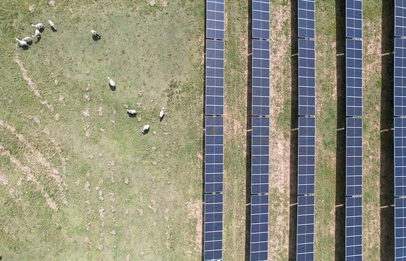 Warwick Solar Farm
