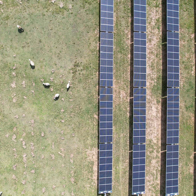 Warwick Solar Farm