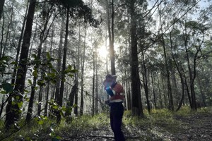 RPs ecologist wears PPE and stands inside a scrubby bush while the sun shines on him.