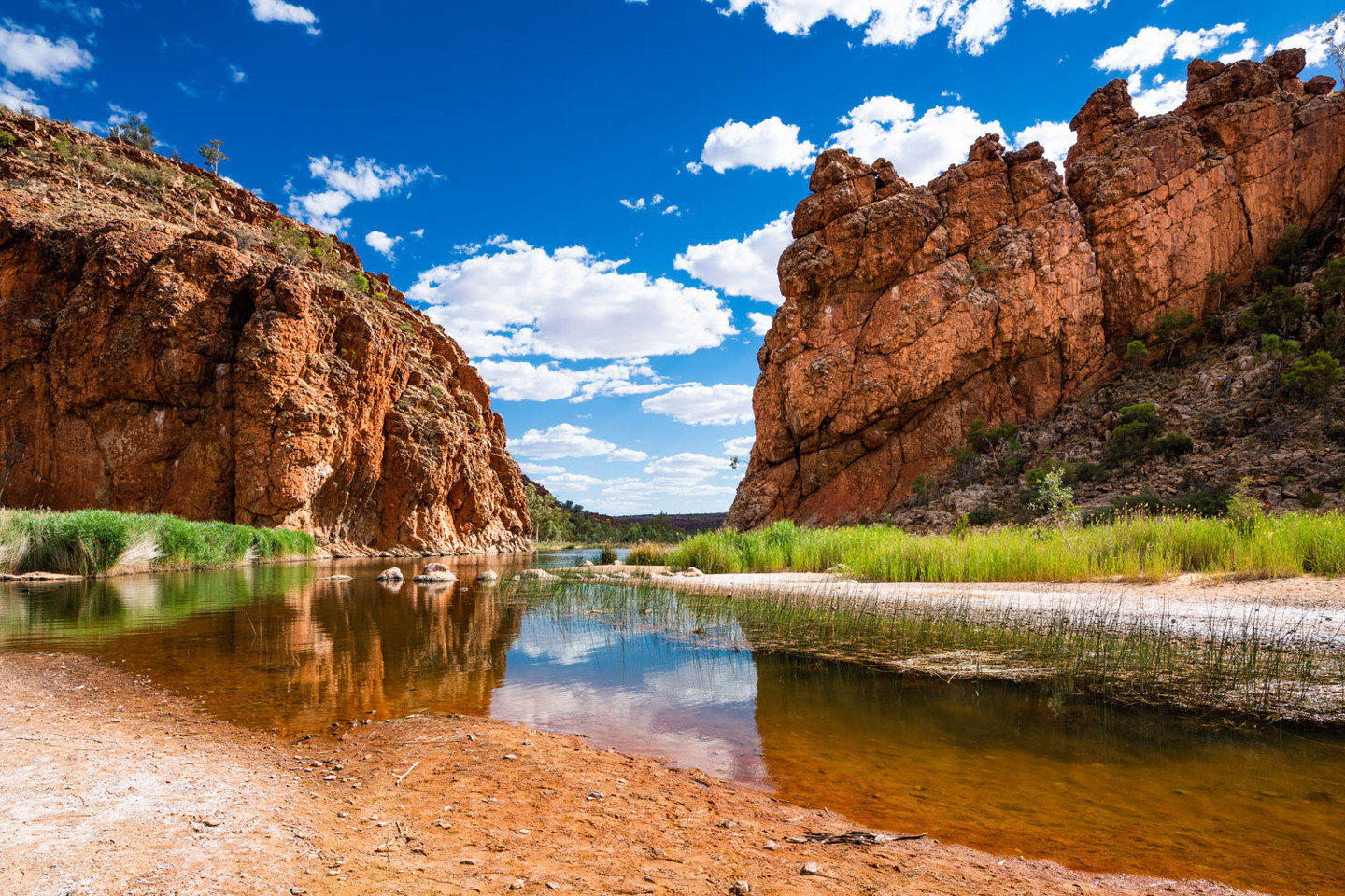 An outback watering hole in Australia