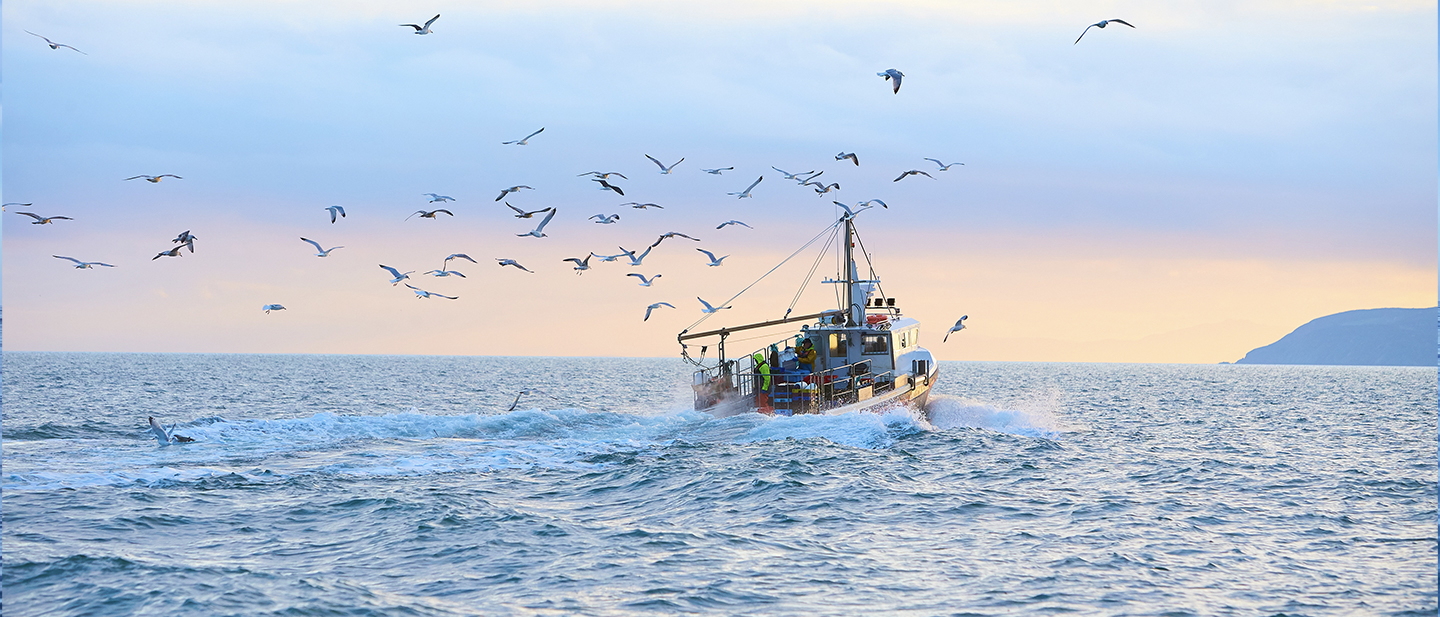 Fishing vessel at sea