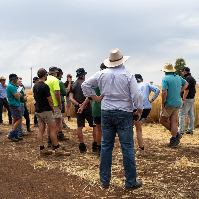 Rural Australian Community Members Gather In Paddock